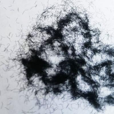 Mascara fiber